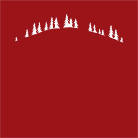 Pillowcase 65x65 Red fir...