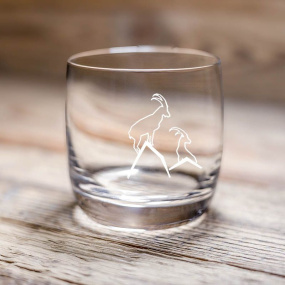 Ibex water glass